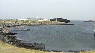 Dutch indian voyeur with natural boobs have threesome.