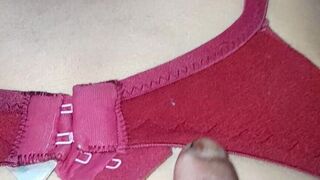 Desi High Class Beautiful Bhabhi Fucked