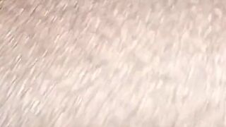 Desi Desi Hornby Hai Hamen Revival