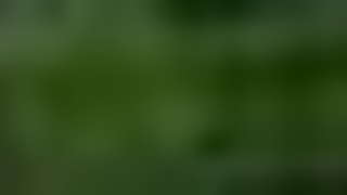 2 hot Desi Girls Playing