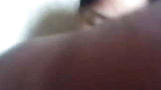 North indian gf shows