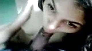 Desi, paki, girl giving blowjob