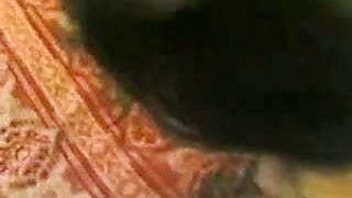 Indian Aunty's Hairy Pussy Pounded Hard