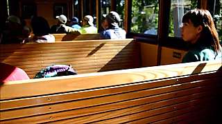 Girlfriend Travling And Flashing In Wooden Train Public