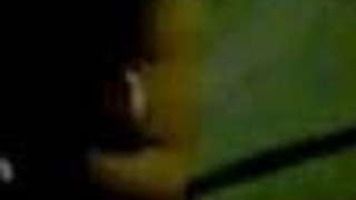 Sexy northindian sucking cock