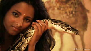 Dance with the snake