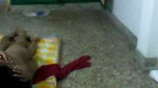 Indian Aunty 1058 (Part 02)