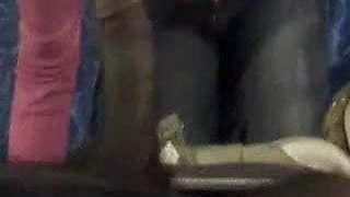 Head From West Indian