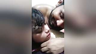 Desi Lover Fucking