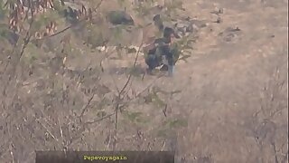 Indian friends nature calls voyeur